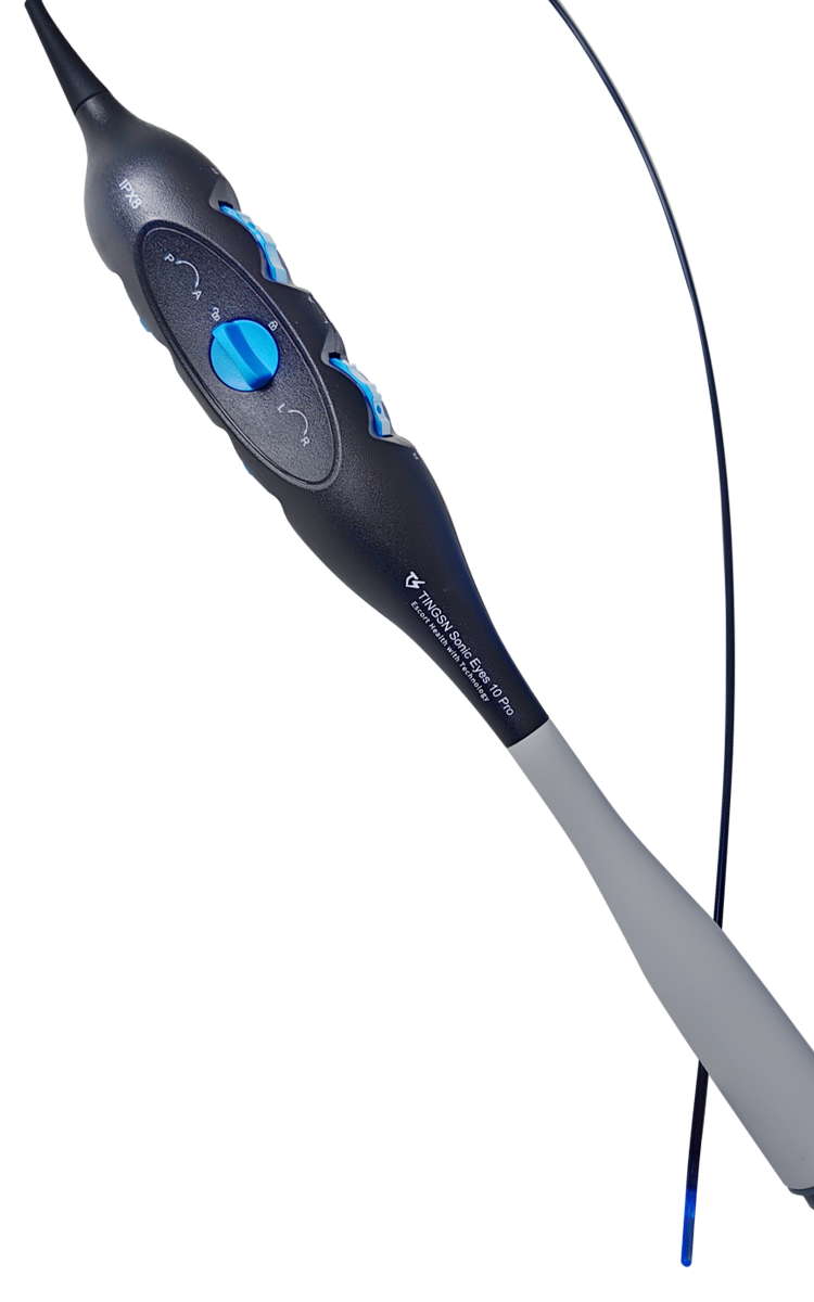 TINGSN Sonic Eyes 10 Pro WAP image